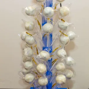 Travel Cake Pop Stand