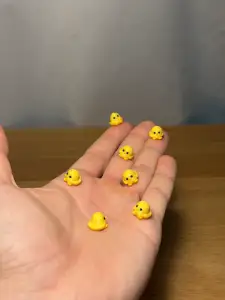 Mini Chicken