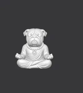 English Bulldog Meditating