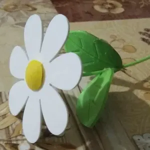 ромашка простая