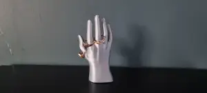 Jewelry ring organizer