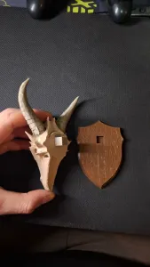 Dragon Trophy Hunting