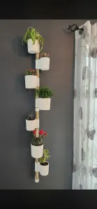 Wall mounted plant stand