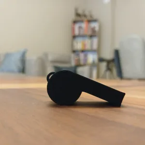 Whistle / Düdük