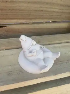 Pool Gnome