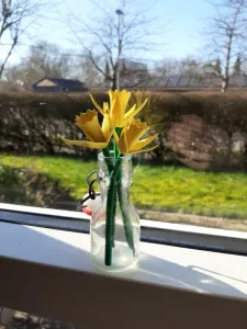Easter Lily