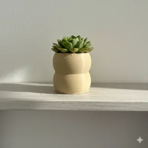 Minimalist Indoor Vase