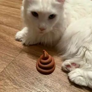 Prank poop, joke