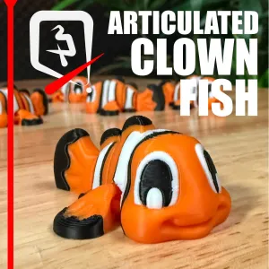 Articulated Clown Fish — The Reef's Brightest Little Swimmer
