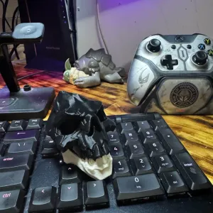Sea of Thieves Branded Obsidian Skull