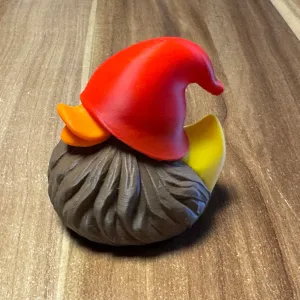 Duck Gnome