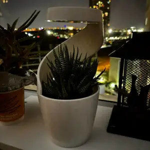 "Rain irrigation flower pot" "Yağmurlamalı Saksı"