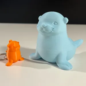 Cute Seal
