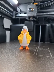 Puff Jacket Duckling
