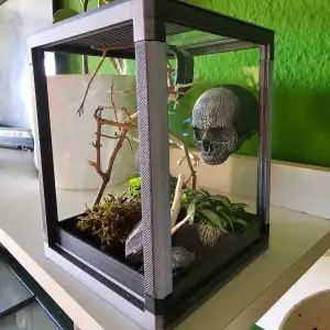 Jumpingspider Terrarium