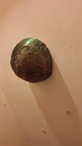 half earth