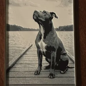 HueForge, Pitbull at end of dock