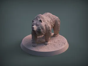 Bear