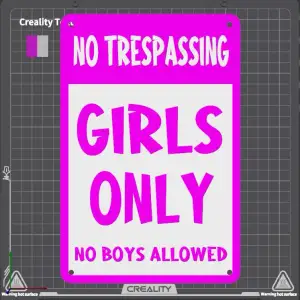 Girls only no trespassing no boys allowed sign Wall Decor