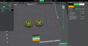 рвсн