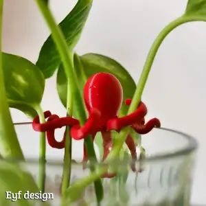 Octoplant - Water Propagation Octopus
