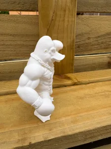 Duck boxer