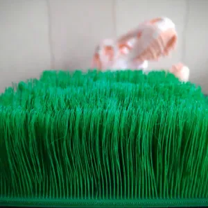grass