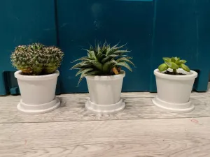 Small Flowerpots