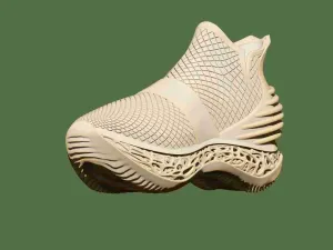 Sport Shoes