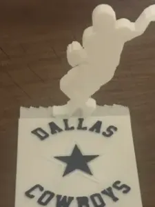 Dallas cowboy coaster
