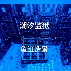 潮汐监狱鱼缸造景