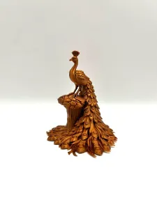 Royal Peacock