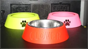 Dog Bowl Holder (customisable)