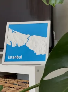 Istanbul Topographic Map