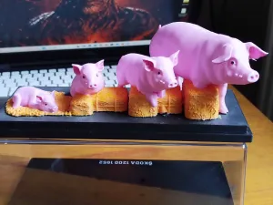 Life Cycle of a Pig – Educational Farm Model