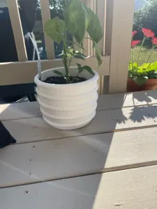 Planter - 6 inch diameter with horizontal ribs
