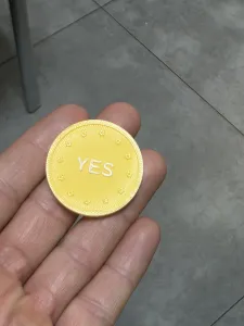 coin yes-no