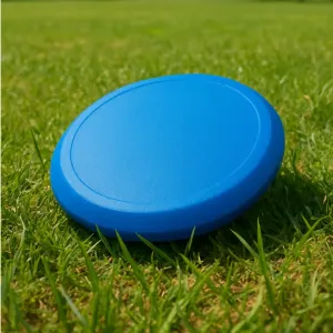 Frisbee