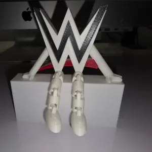 wwe fidget