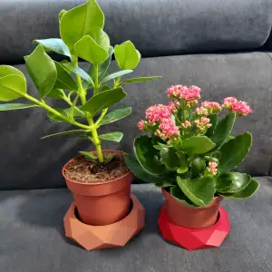 Flower pot plate