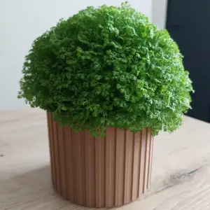 Vase décoratif 02