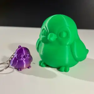 Cute Bird