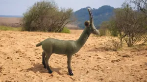 Gazella