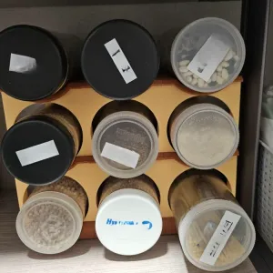 Round Container Storage Shelf