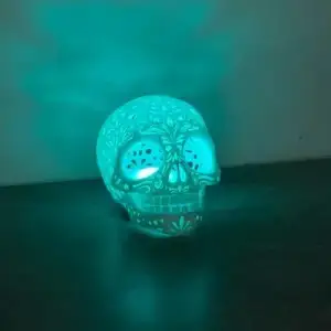 skull lantern