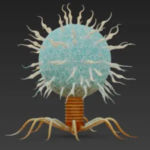 Detailed Bacteriophage Virus Model | Biyoloji & Bilim