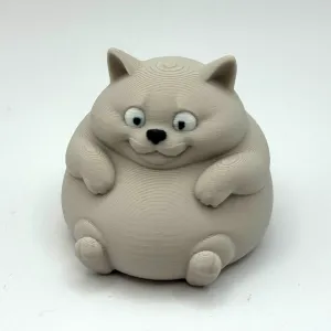 Sitting Chonky Cat