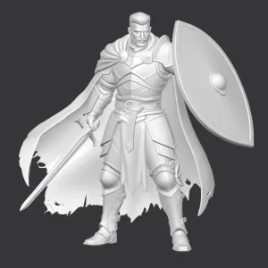 Human warrior sword and shield D&D miniature