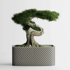 Plant Pot Fine Rib Rounded Rectangle Low