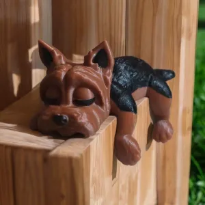 Shelf Sleeping Yorkshire Terrier